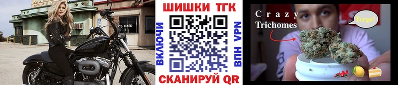 Бошки марихуана OG Kush где купить наркоту Курчатов